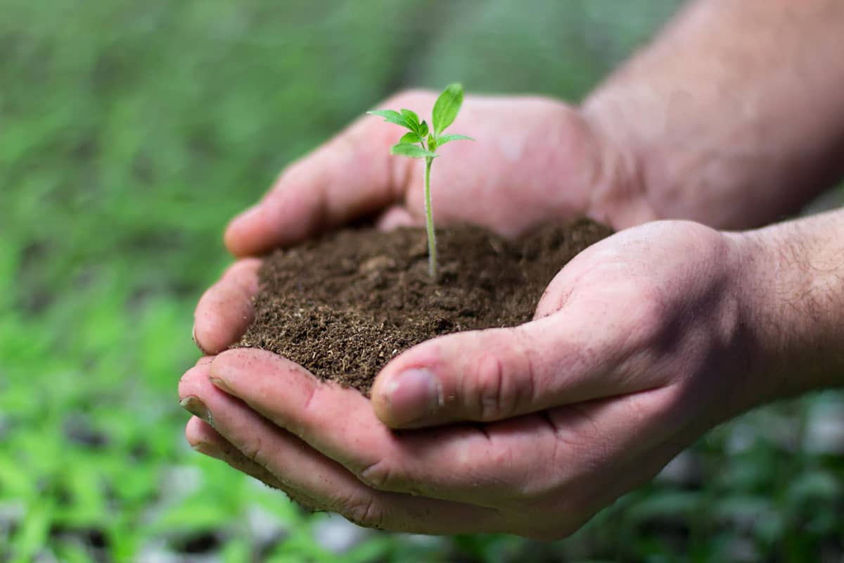 Utilisation des déchets écologique